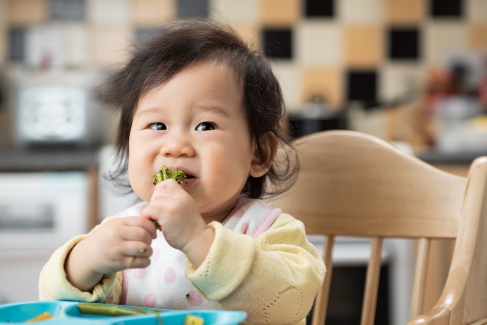 Nutrient intakes of children aged 1–2 years as a function of milk consumption, cows’ milk or growing-up milk